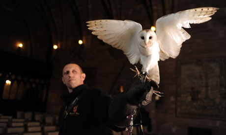 Ollie the barn owl with Mike Roberts